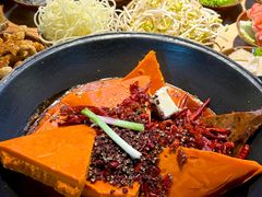 -阳阳老火锅(小南门店)