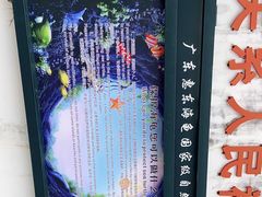 -广东惠东海龟国家级自然保护区