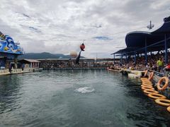 -海南分界洲岛旅游区