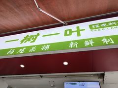 -一树一叶·福建茶档(石鼓路店)