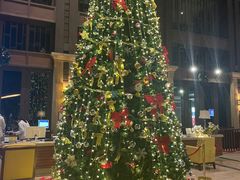 -三亚亚龙湾雅高铂尔曼别墅度假酒店