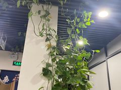 -听涛雅苑百味饺子老家菜馆