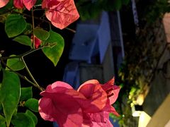 景观位-默迹咖啡馆
