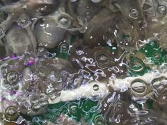 长青路覃记海鲜-覃记海鲜美食餐厅