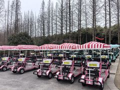 -黄海国家森林公园