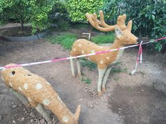 -万源龙顺度假庄园生态观光园