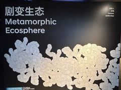 -现代汽车文化中心 Hyundai Motorstudio Beijing