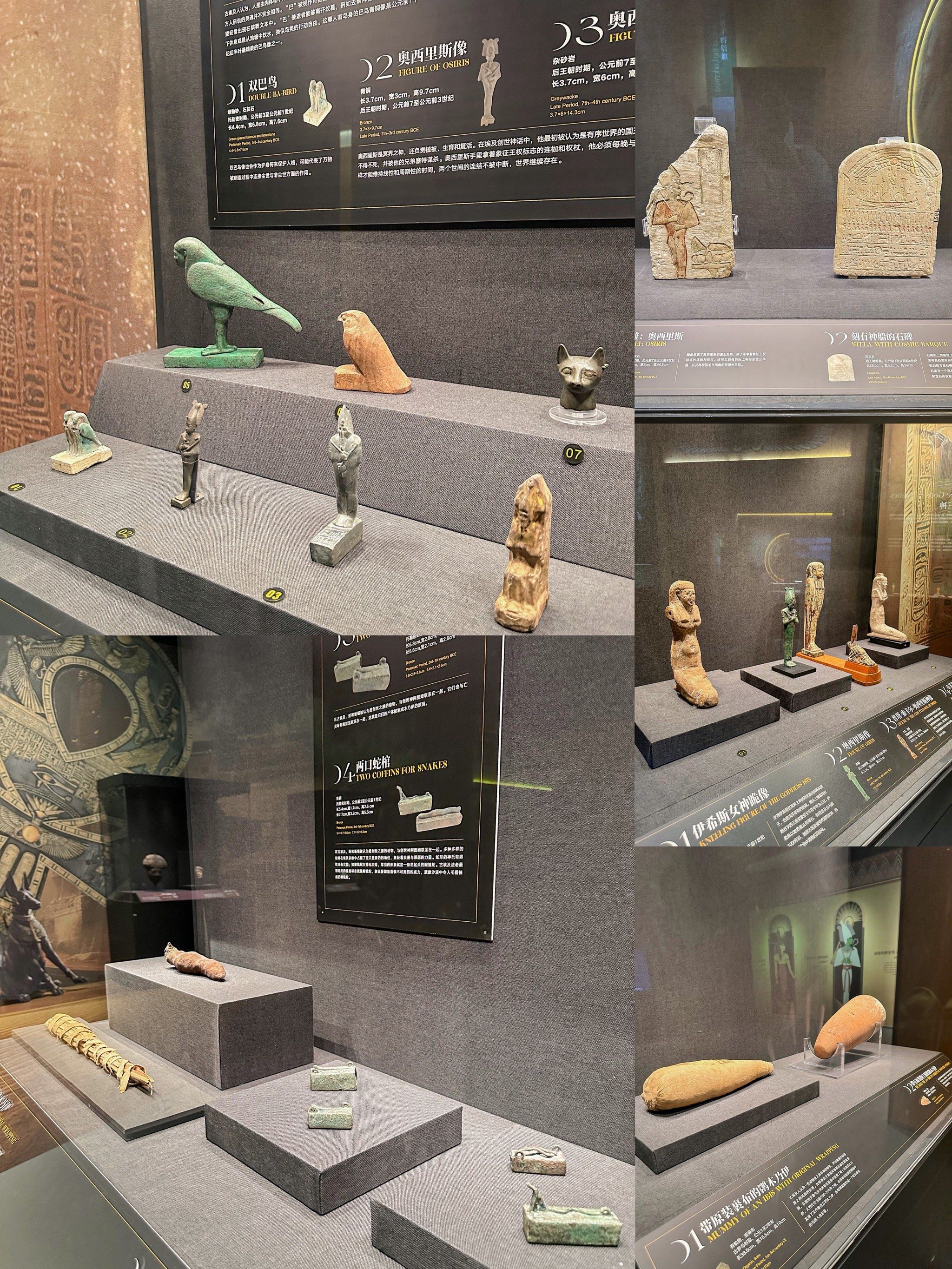 不出国门!在杭州就能看到木乃伊真身