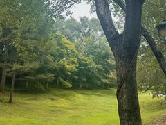 -沈阳植物园