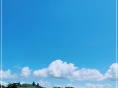-松岛