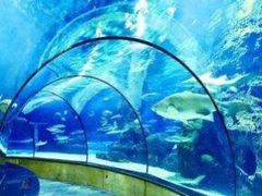 -厦门海底世界