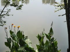 -重庆彩云湖湿地公园