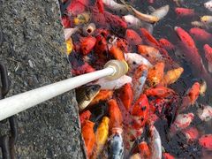 -无锡动物园·太湖欢乐园