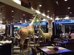 -上海野生动物园老虎餐厅