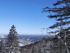 -凤凰山国家森林公园