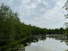 -上海海湾国家森林公园