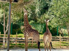 -水上乐园·欢乐世界