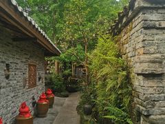 -青城甲(青城山店)