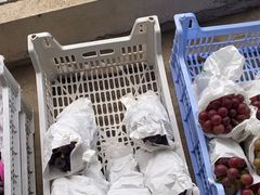 -马陆小张葡萄园农家乐