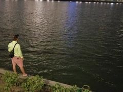 -五缘湾湿地公园