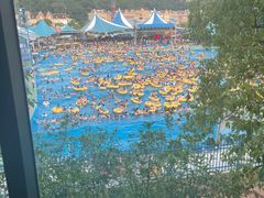 -杭州浪浪浪水公园