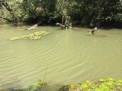 -昆山城市生态森林公园