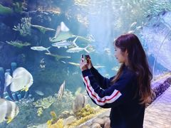 -华夏文旅海洋公园