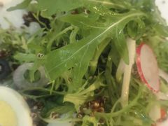 -维兰西餐(万泉河店)