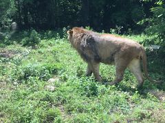 -西安秦岭野生动物园