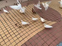 -泉城广场
