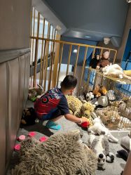 -奈尔宝·儿童乐园·亲子餐厅(华采天地店)