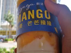 芒芒撞撞-gaga(深圳福田星河COCO Park店)