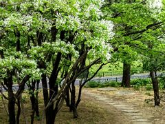 -国家植物园南园