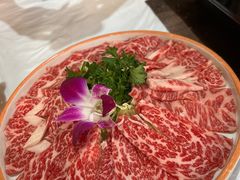 -鲜入围煮花胶鸡海鲜火锅