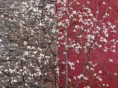 -东华门大街小区