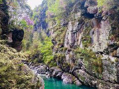 -石台牯牛降景区