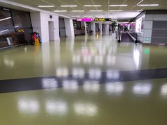 -郑州新郑国际机场-T2航站楼