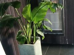 -阿伟海鲜楼·福建菜(涵江店)