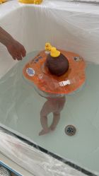 -海豚湾高端月子会所(黄浦店)