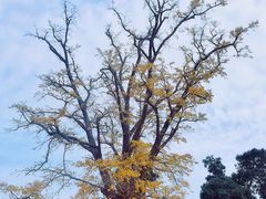 -金堂县云顶石城风景区