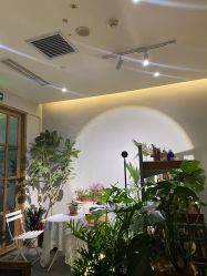 -芳香乐府疗愈空间·SPA·冥想