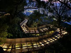 -福道