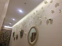 -芳朵美容养生SPA