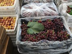 -西郊国际农产品交易中心