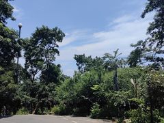 -岳麓山风景名胜区