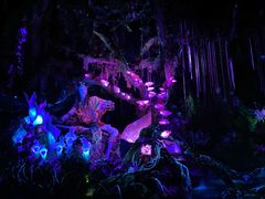 -奥兰多迪士尼动物王国乐园