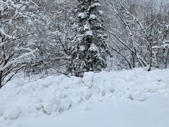 -雪谷