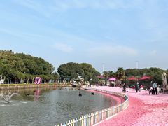 -苏州太湖西山岛开心农场