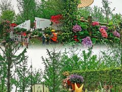 -武汉园博园(武汉自然博物馆)