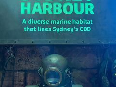 -悉尼海洋生物水族馆